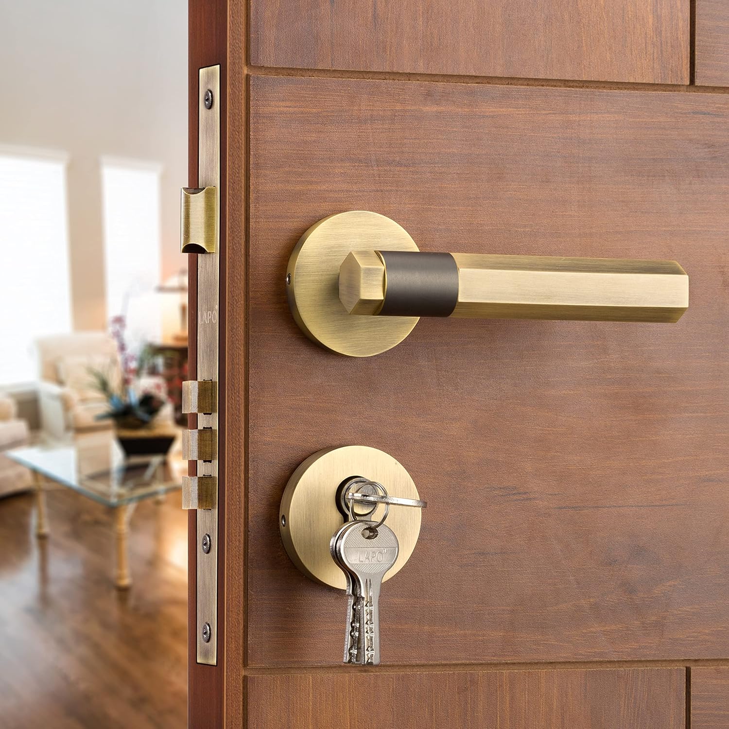 Door Handle & Locks